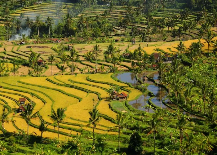 Ferienhaus Bali Munduk Delux *