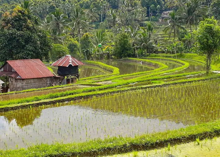 Bali Munduk Delux Ferienhaus
