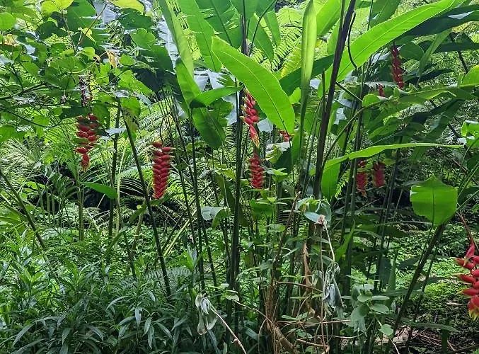 Ferienhaus Bali Munduk Delux Singaraja