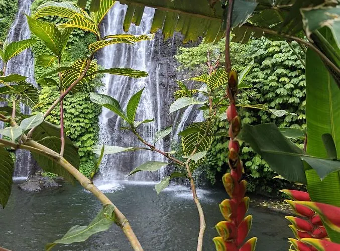 Bali Munduk Delux * Singaraja