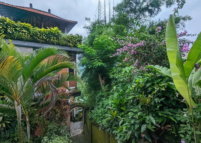Ferienhaus Bali Munduk Delux Singaraja
