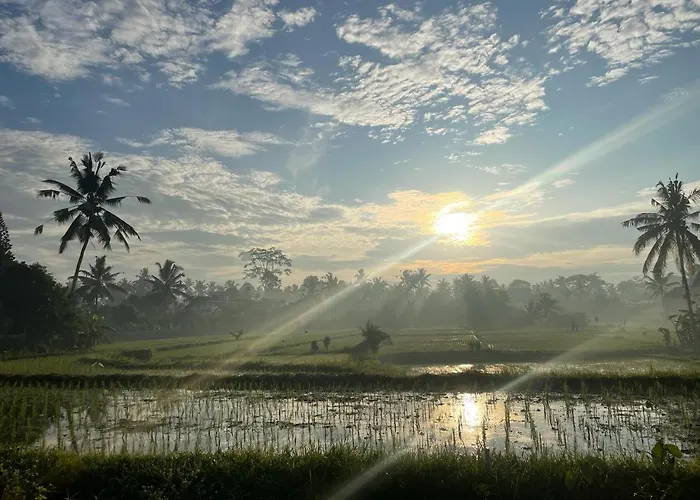 Bali Munduk Delux *